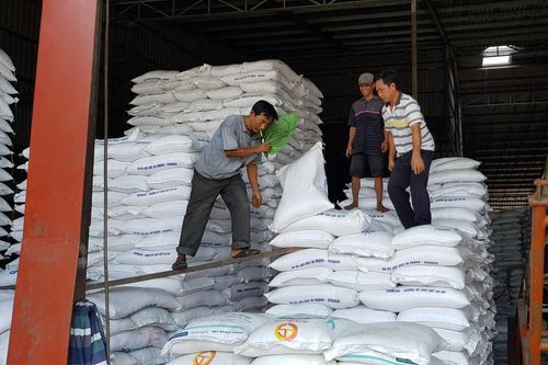 Philippines loại bỏ kế hoạch nhập khẩu 300.000 tấn gạo