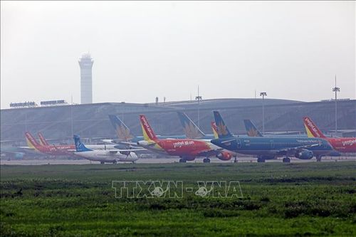 Rà soát lực lượng phi công nước ngoài làm việc tại các hãng hàng không Việt Nam