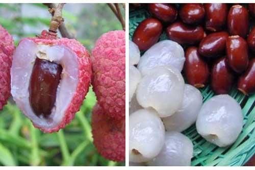 Hạt vải tưởng bỏ đi nhưng lại là vị thuốc quý, ai cũng nên biết