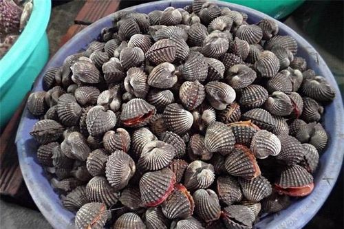 Đặc sản Phú Yên khiến du khách nức nở khen ngon