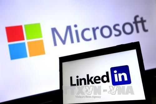 Microsoft tạm đóng hệ thống bán lẻ, chuyển sang kinh doanh trực tuyến