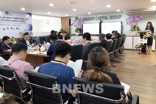 Bamboo Capital: Lợi nhuận 2020 tăng 31%