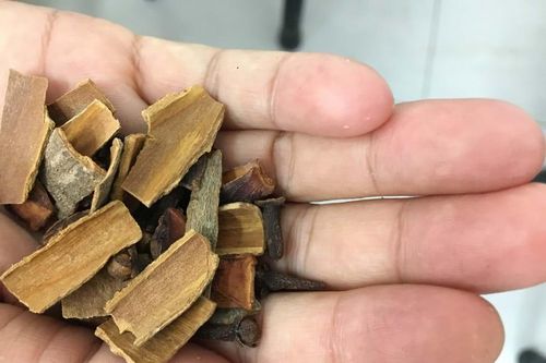 Thêm trẻ với lối ăn cà ri vui vẻ…