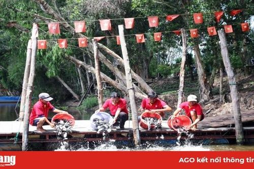 Trà Sư xuất chiêu 'dụ' chim trời
