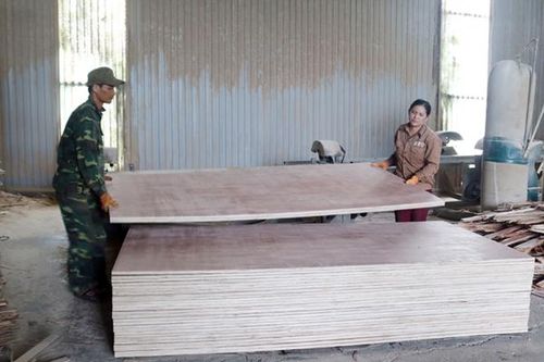 Sản xuất gỗ ván ép: Thúc đẩy kinh tế lâm nghiệp phát triển