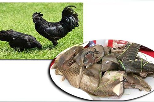 Đặc sản gà đen