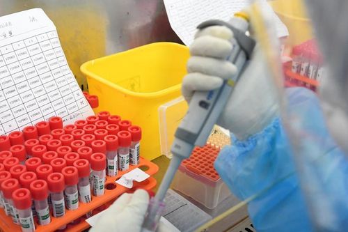 Virus SARS-CoV-2 có thể xuất hiện ở Tây Ban Nha từ tháng 3/2019