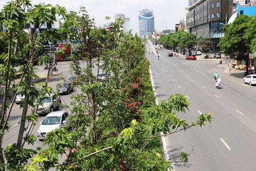 Hà Nội: Hệ thống cây xanh đã thay đáng kể sự bức nhiệt đô thị