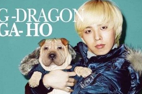 Thú cưng của G-Dragon Bigbang bị gia đình bỏ bê, ngược đãi