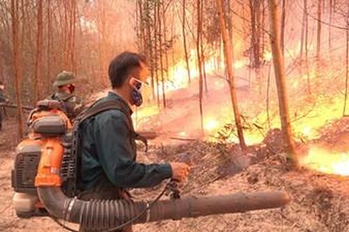 Đã kiểm soát được cháy rừng tại Nghệ An
