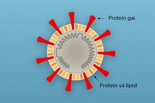Covid-19 đột biến có thể tăng nguy cơ lây nhiễm