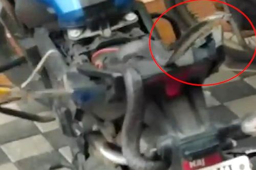 Lái xe được 20km, 2 người đàn ông bỏ chạy khi thấy rắn hổ dưới yên xe