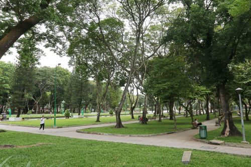 TP.HCM: Cây xanh đô thị và những tác động đến từ con người