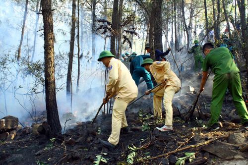 Vụ cháy rừng ở Nghệ An: Đề phòng nguy cơ bùng phát trở lại