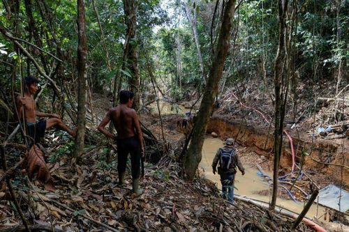 'Cơn sốt' vàng Amazon đe dọa sự sinh tồn của bộ lạc lớn nhất Brazil