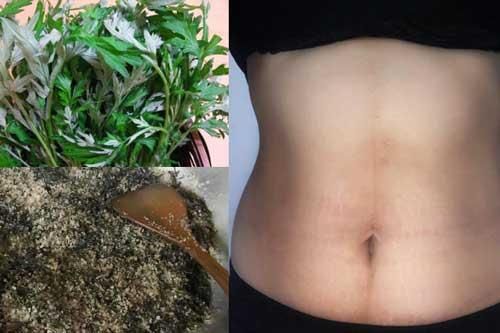 Mẹ bầu hết đau dạ con, xóa tan mỡ bụng sau sinh chỉ với một nắm lá ngải cứu
