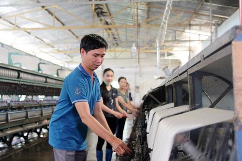 4 doanh nghiệp cam kết thu mua kén từ 90 - 100 ngàn đồng/kg