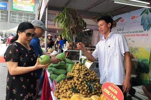 Giải pháp phục hồi sản xuất