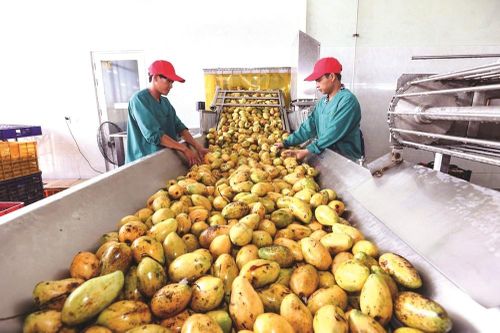 Doanh nghiệp thành phố Hồ Chí Minh chú trọng thị trường ASEAN