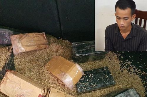 Liên tiếp triệt phá các đường dây ma túy, lật tẩy thủ đoạn tinh vi
