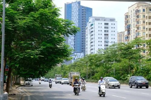 Hà Nội phát triển hệ thống cây xanh: Làm dày thêm 'tấm lá chắn' bảo vệ môi trường