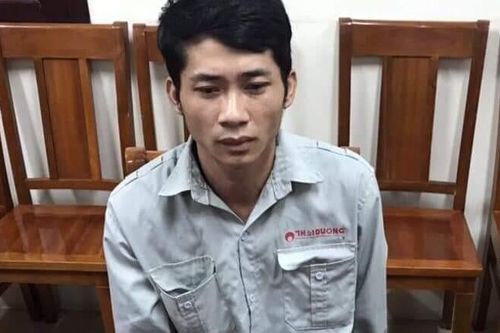 Tạm giữ hình sự đối tượng buôn bán rùa quý hiếm tại Hoàn Kiếm, Hà Nội