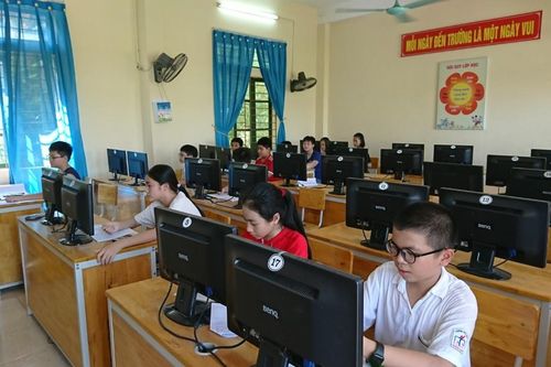 Hơn 11.000 học sinh cả nước dự thi vòng quốc gia Violympic 2019-2020