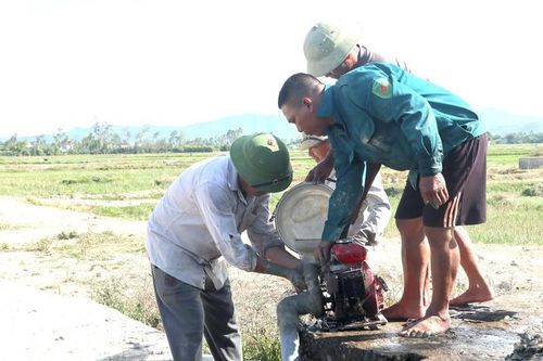 Nguy cơ 10 ngàn ha lúa ở Nghệ An bị hạn hán