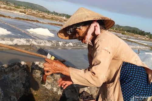 Diêm dân Nghệ An 'chắt nước gom muối' dưới trời đỉnh nắng
