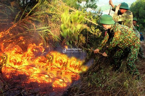 Nghệ An: Lửa rừng lan rộng, hàng nghìn người cõng nước băng đồi dập lửa