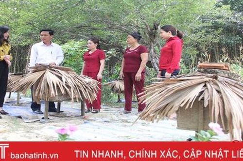 'Từ bán mật ong, mâm cơm của gia đình đã có thêm miếng thịt, con cá'