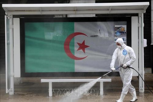 Algeria đóng cửa biên giới đến khi dịch COVID-19 được khống chế