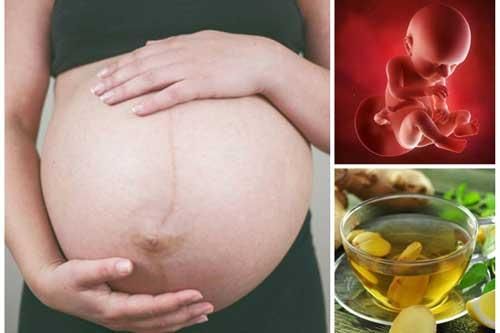 Mẹ bầu uống 1 ngụm nước này mỗi sáng vừa lọc nước ối trong veo lại nuôi thai nhi mũm mĩm từ trong bụng