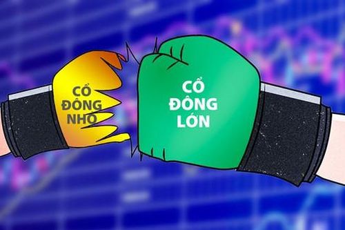 Doanh nghiệp không thể lớn khi cổ đông nhỏ bị lép