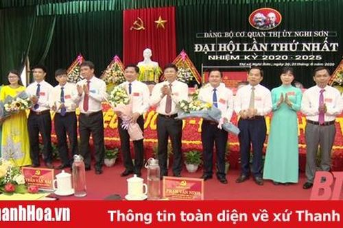 Thị xã Nghi Sơn hoàn thành đại hội Đảng cấp cơ sở
