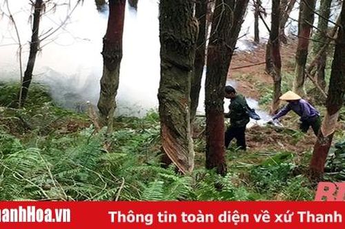 Hạt Kiểm lâm ven biển: Chủ động bảo vệ rừng trong mùa nắng nóng