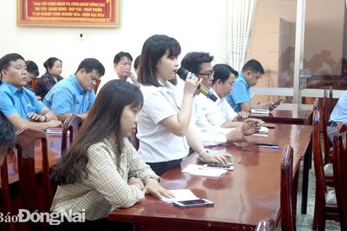 Nhiều doanh nghiệp đẩy mạnh sản xuất, tạo việc làm ổn định cho người lao động