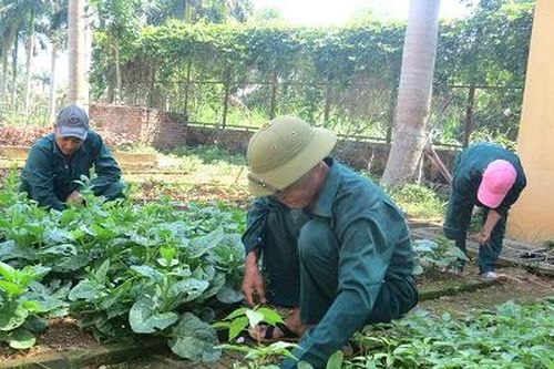 Kỳ II: Cai nghiện ma túy tập trung: Khó vì không có học viên ?