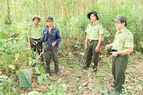 Dự án 'Hỗ trợ chuẩn bị sẵn sàng thực hiện REDD+ tại Việt Nam giai đoạn 2': Kết quả nổi bật trong thực hiện Dự án Hỗ trợ chuẩn bị sẵn sàng thực hiện REDD+ tại Việt Nam giai đoạn 2 tỉnh Quảng Trị