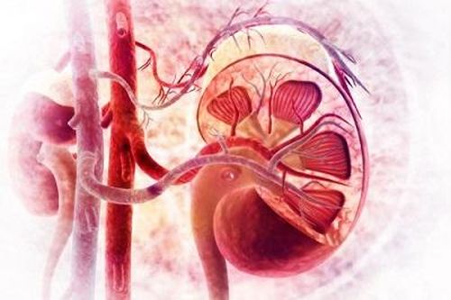 Thuốc trị đái tháo đường dapagliflozin giảm nguy cơ suy thận