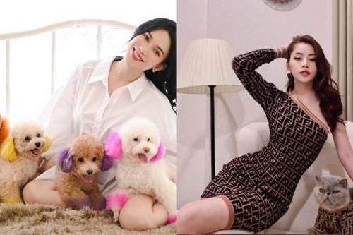 Dàn 'boss' siêu cấp đáng yêu của sao Việt, gây ấn tượng nhất là 'hậu cung' của Sĩ Thanh