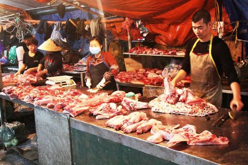 Tăng tốc phục hồi chăn nuôi lợn