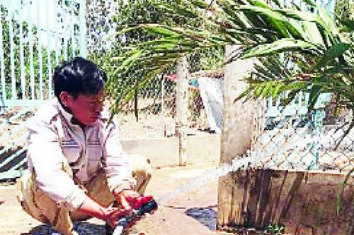 Nước sạch cho nông thôn vùng đồng bằng sông Cửu Long