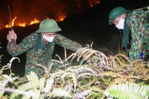 Công an, bộ đội trắng đêm căng mình dập lửa cứu rừng
