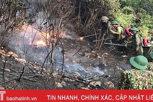 Huy động 500 người cứu chữa, cháy rừng ở huyện miền núi Hà Tĩnh được khống chế