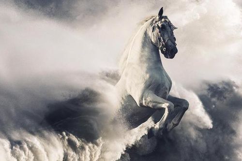 15 bức ảnh về thế giới siêu thực qua công nghệ Photoshop