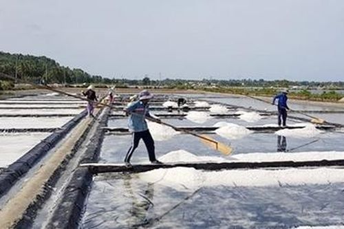 Làng muối Tuyết Diêm đắng chát vị mặn mồ hôi