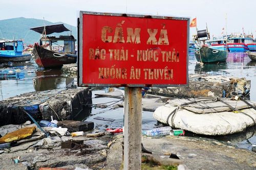 Kinh hãi rác thải hôi thối, bủa vây âu thuyền Thọ Quang ở Đà Nẵng