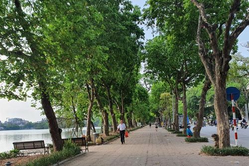 ''Lợi ích kép'' của các khoảng xanh đô thị