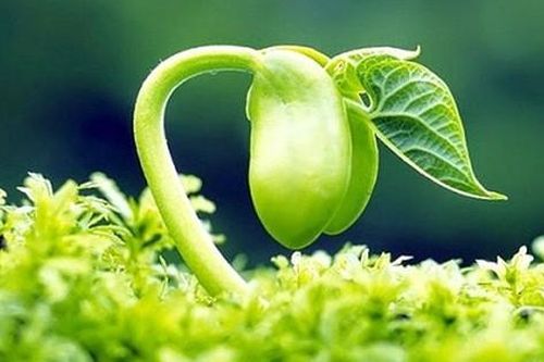 Giải pháp nào giúp cải thiện sinh lý, nhan sắc, kéo dài tuổi xuân cho phụ nữ an toàn và hiệu quả?
